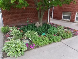 Courtyard garden area adopted by Terry & Cindy Sauppe'