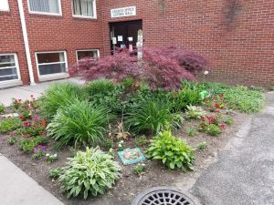 Courtyard garden area adopted by Carol Dolt & Peg Hinds.